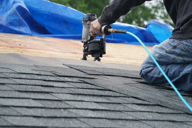 Best Roof Moss and Algae Removal  in Hendron, KY
